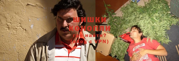 трава Арсеньев